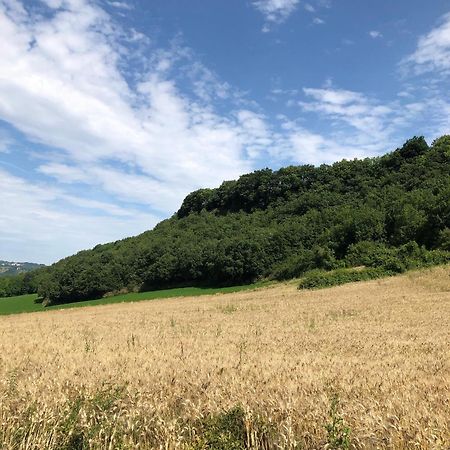 Agriturismo L'Esinante Cupramontana 외부 사진