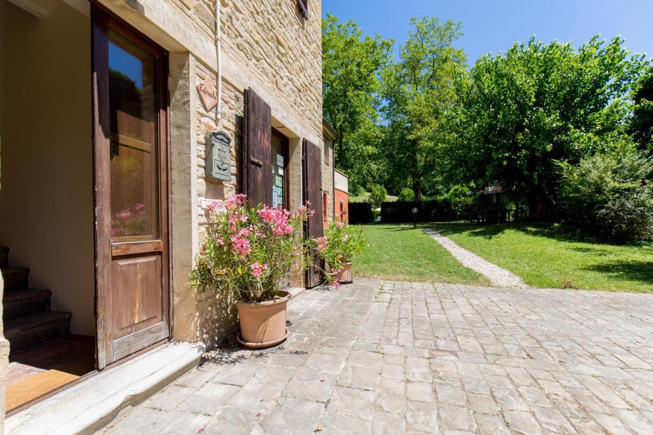 Agriturismo L'Esinante Cupramontana 외부 사진