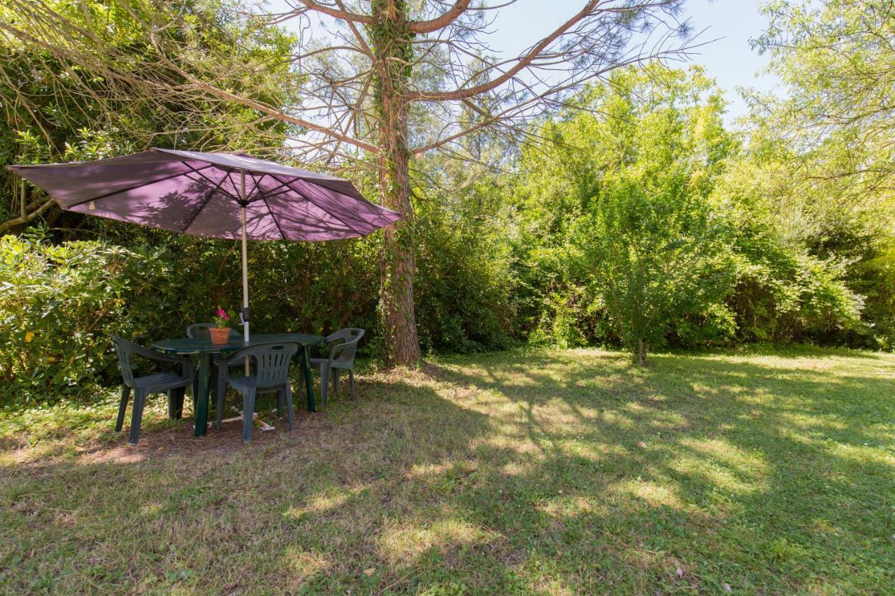 Agriturismo L'Esinante Cupramontana 외부 사진