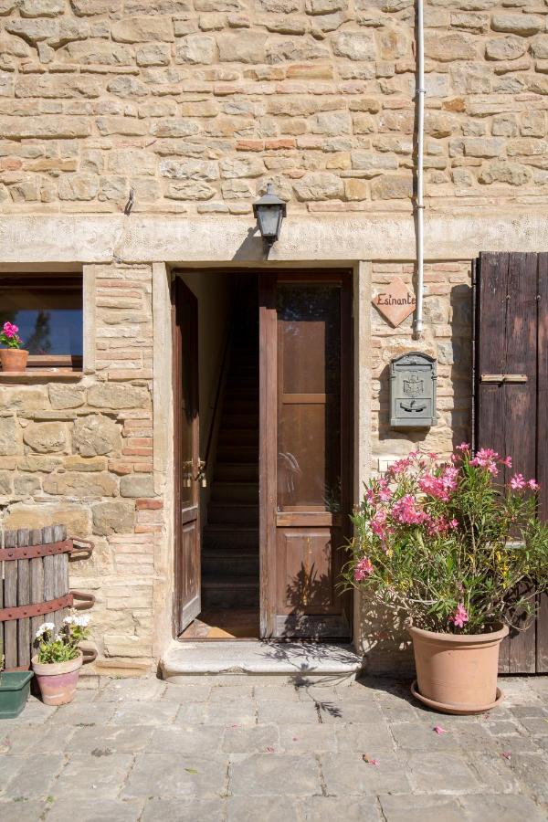 Agriturismo L'Esinante Cupramontana 외부 사진
