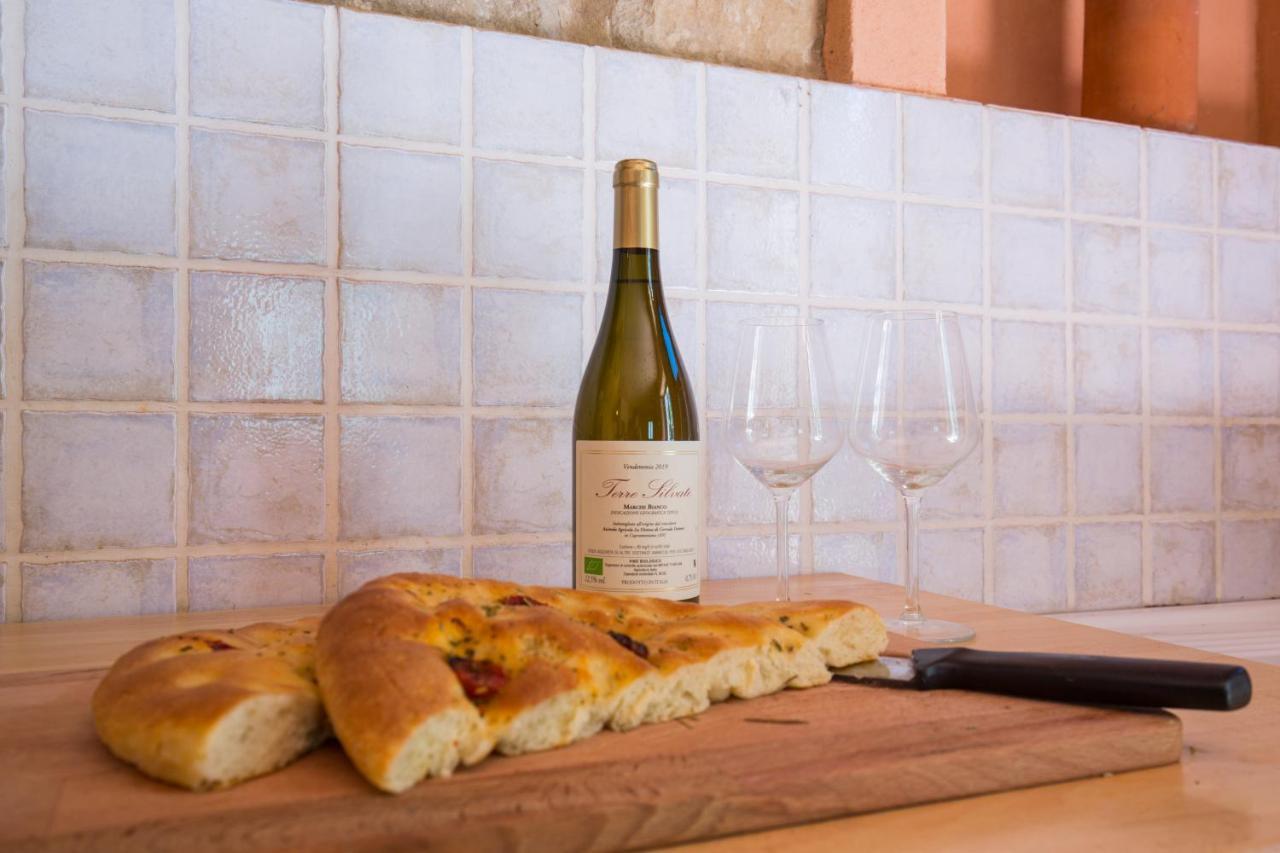 Agriturismo L'Esinante Cupramontana 외부 사진