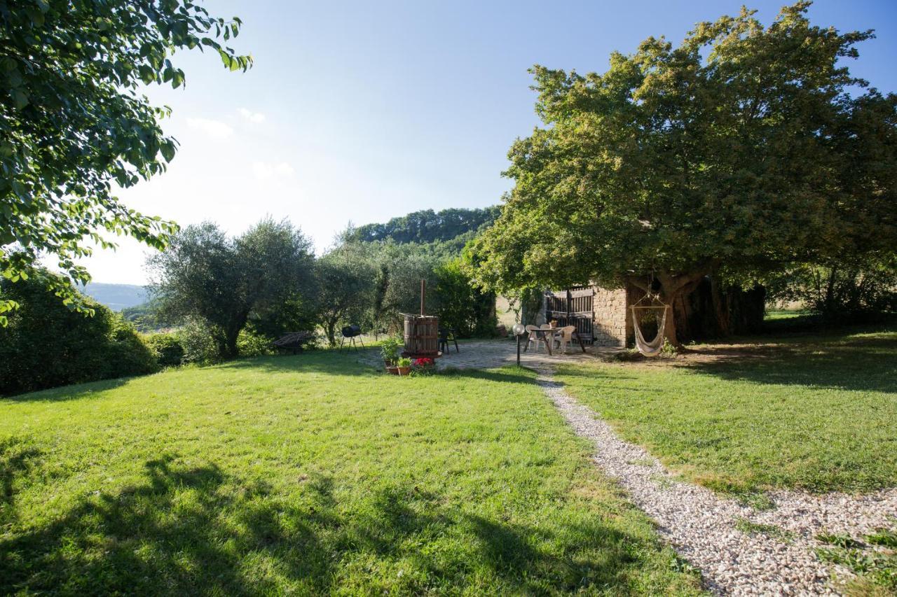 Agriturismo L'Esinante Cupramontana 외부 사진